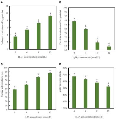 Physicochemical properties and gel-forming ability changes of duck myofibrillar protein induced by hydroxyl radical oxidizing systems